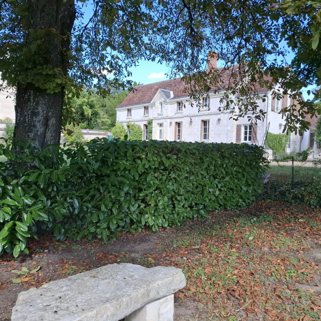 Propriété familiale XVIIIe Touraine Sud